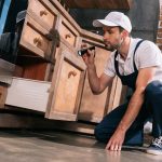 Englewood Pest Control