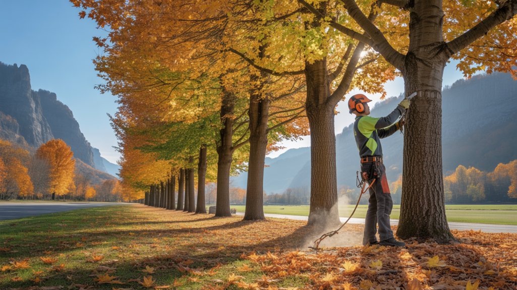 seasonal pruning promotes tree health