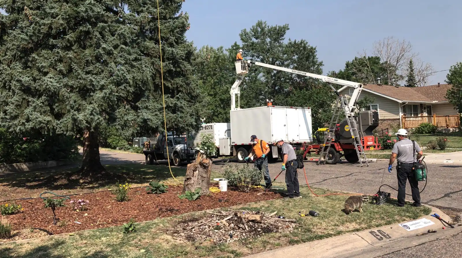 Denver property owners are responsible for cleaning up debris from downed limbs and trimming trees
